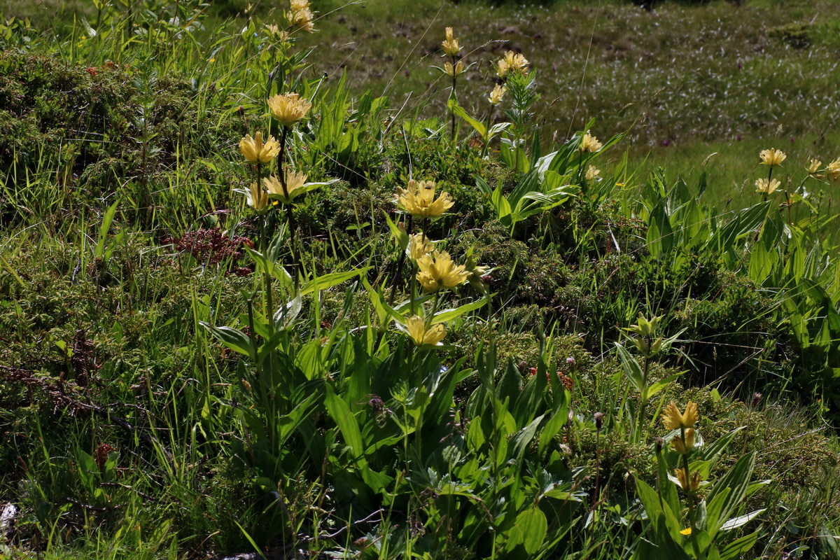 2016_07_04_022106p_Bildgr��e �ndern