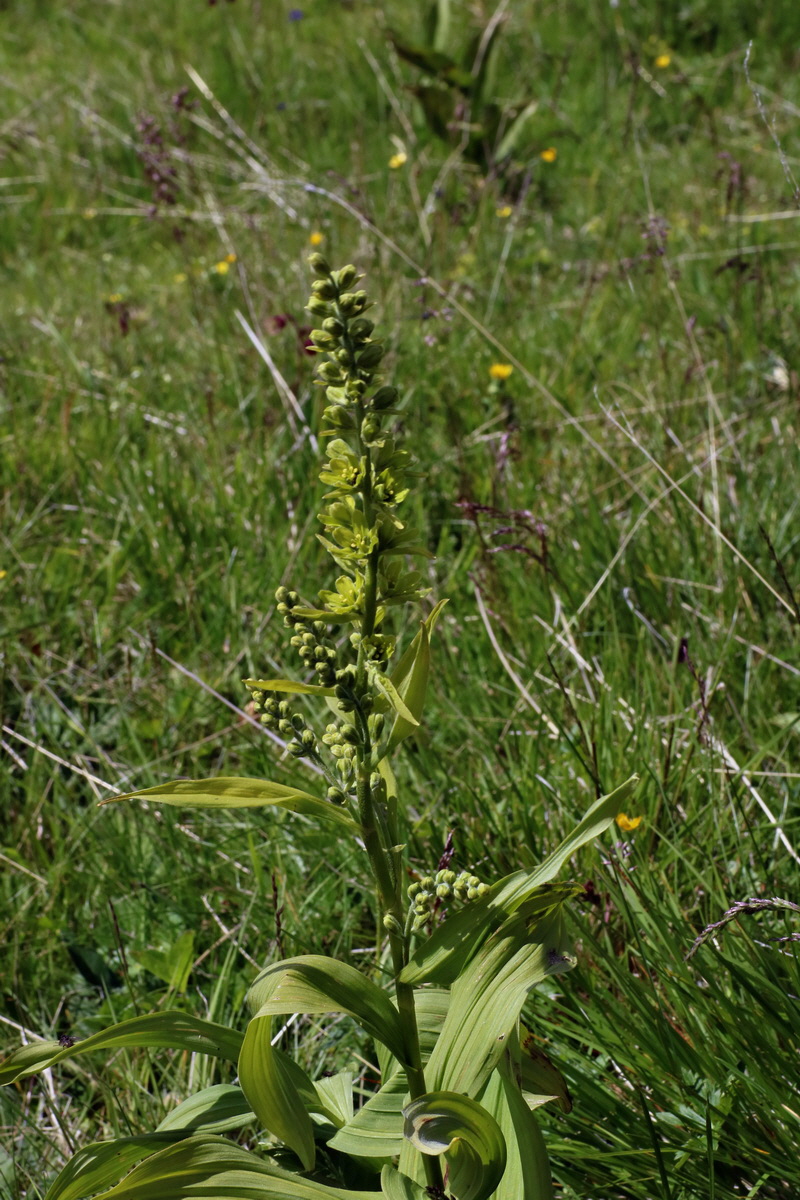 2016_07_04_022111p_Bildgr��e �ndern