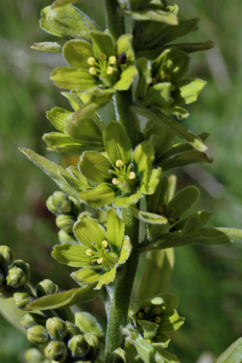 2016_07_04_022114p_Bildgr��e �ndern