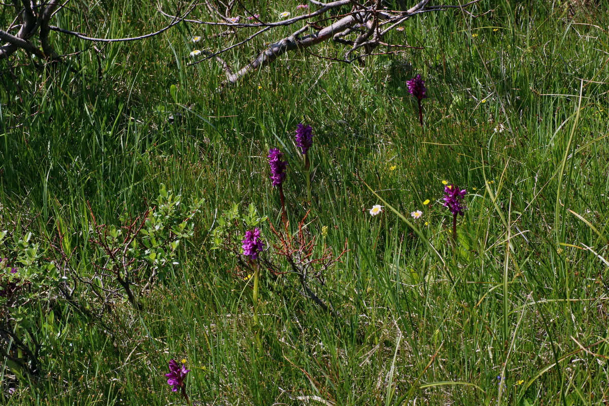 2016_07_04_022130p_Bildgr��e �ndern