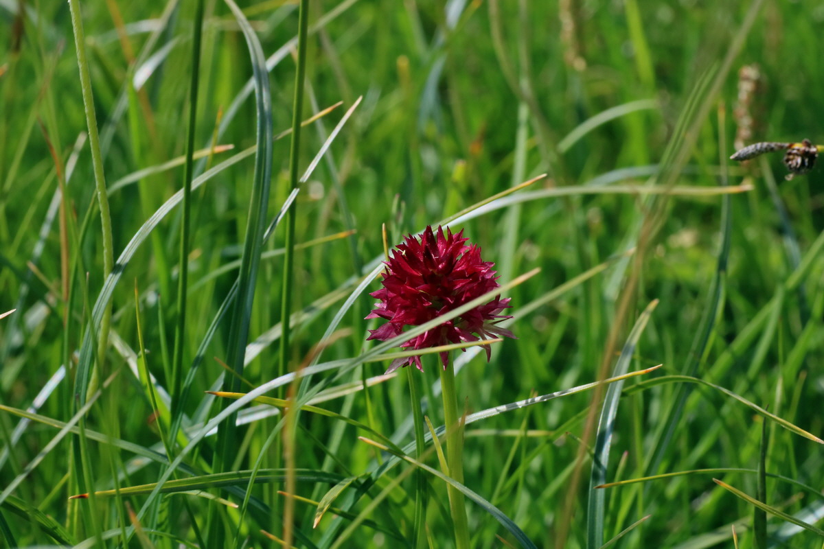 2016_07_04_022160p_Bildgr��e �ndern