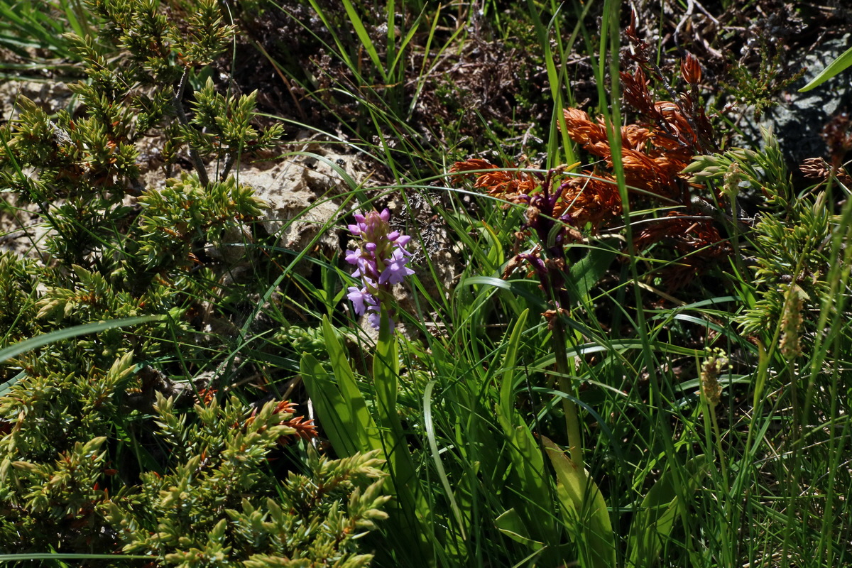 2016_07_04_022172p_Bildgr��e �ndern