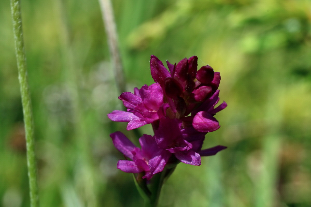 2016_07_04_022179p_Bildgr��e �ndern