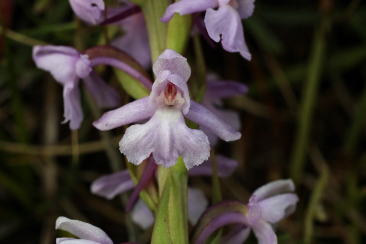 2016_07_04_022185p_Bildgr��e �ndern