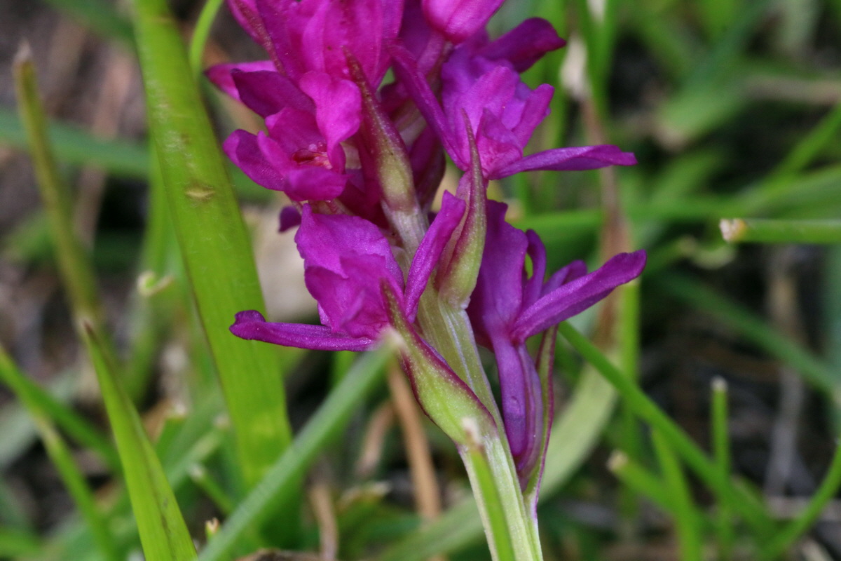 2016_07_04_022194p_Bildgr��e �ndern