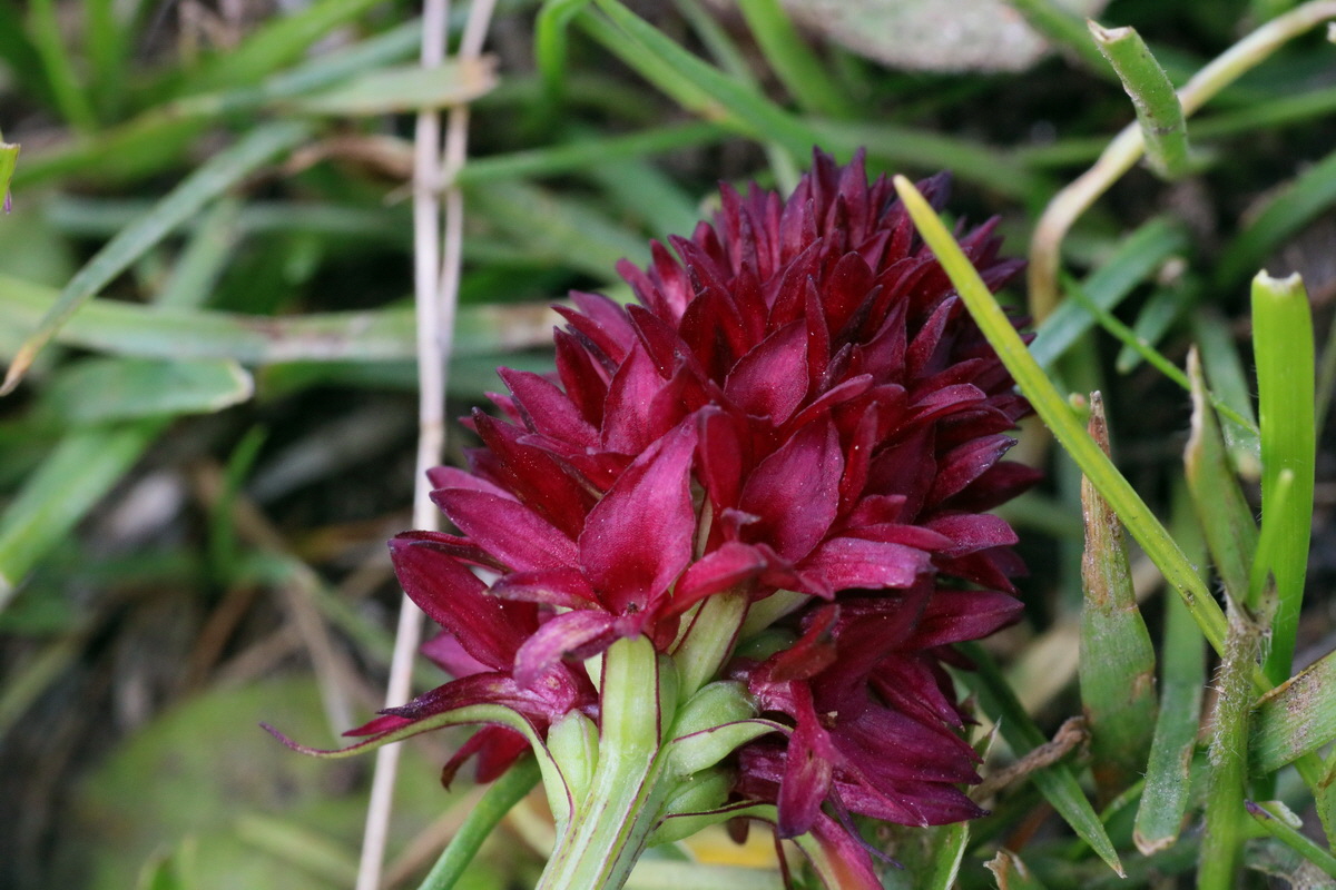 2016_07_04_022196p_Bildgr��e �ndern