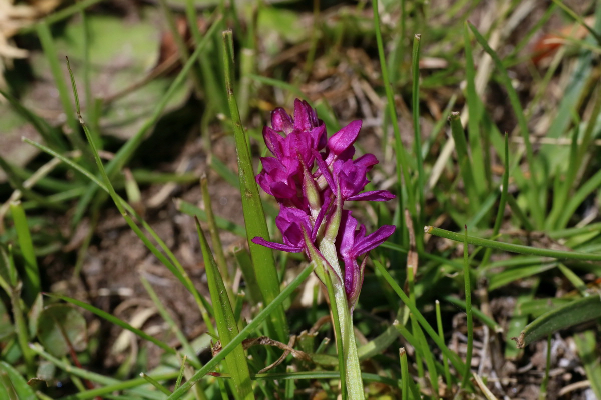 2016_07_04_022206p_Bildgr��e �ndern