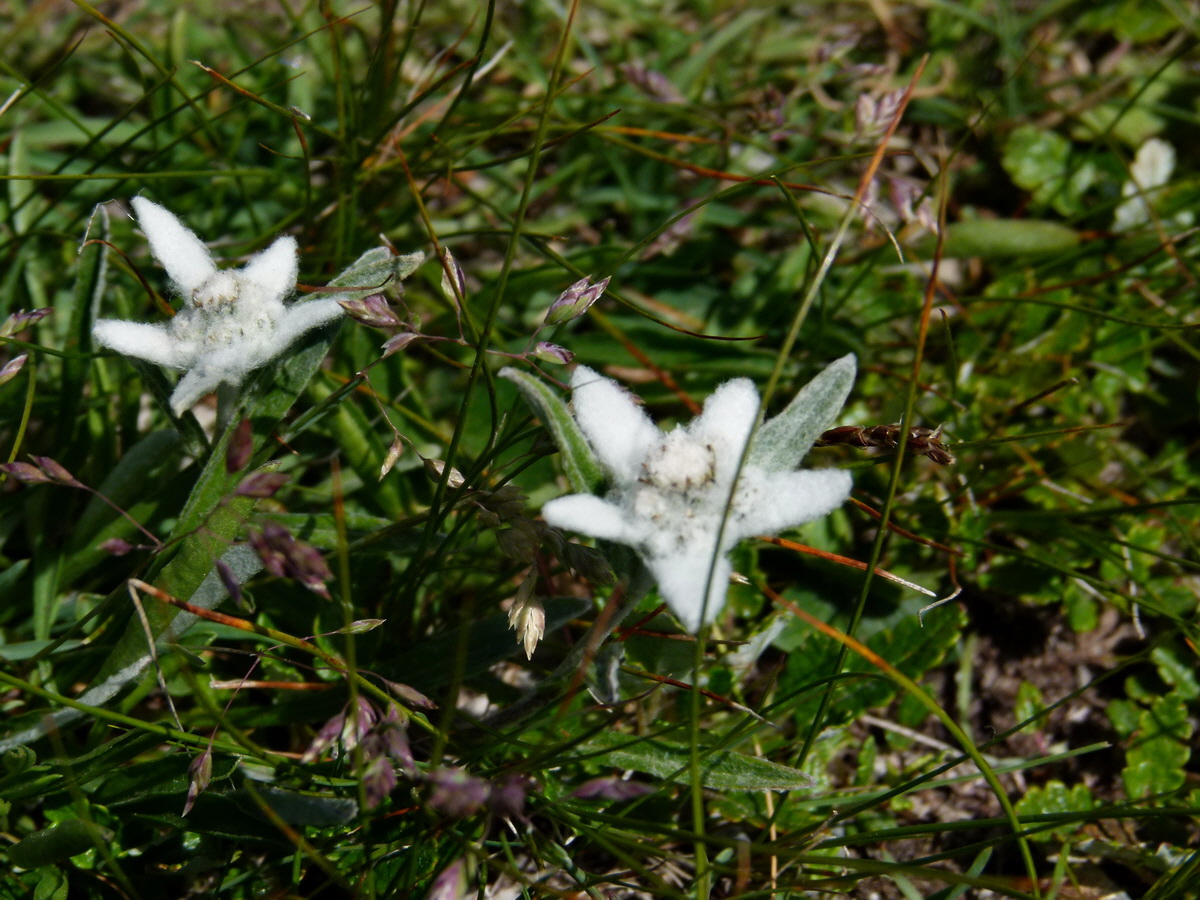 P1170747p_Bildgr��e �ndern