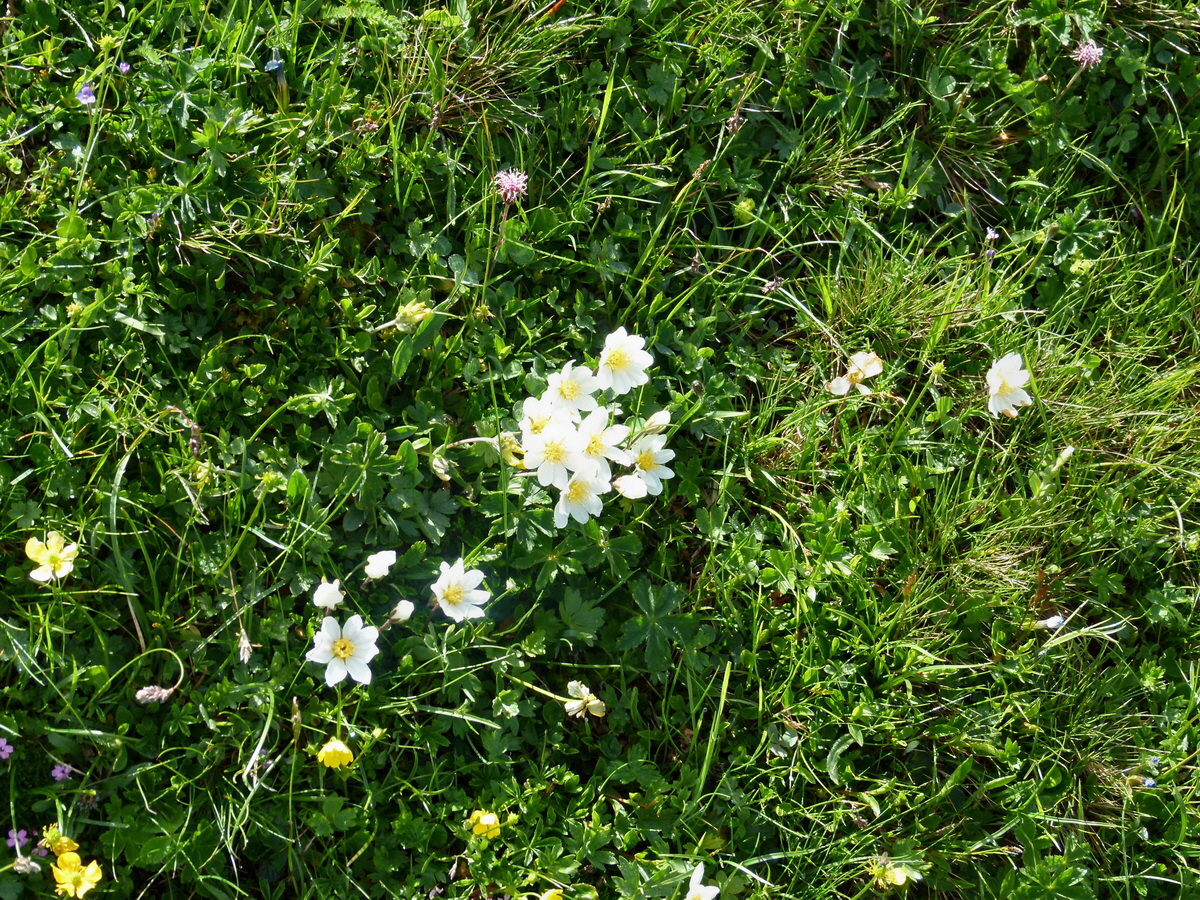 P1170798p_Bildgr��e �ndern