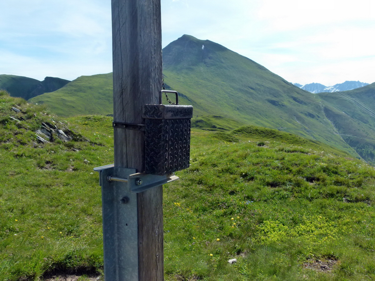 P1170804p_Bildgr��e �ndern