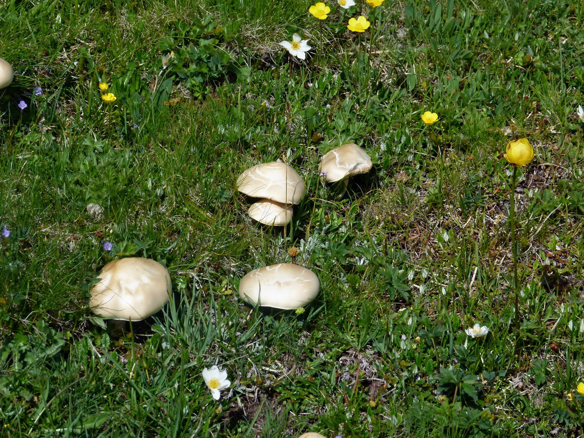 P1170816p_Bildgr��e �ndern