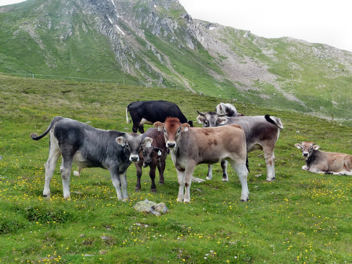 P1170935p_Bildgr��e �ndern