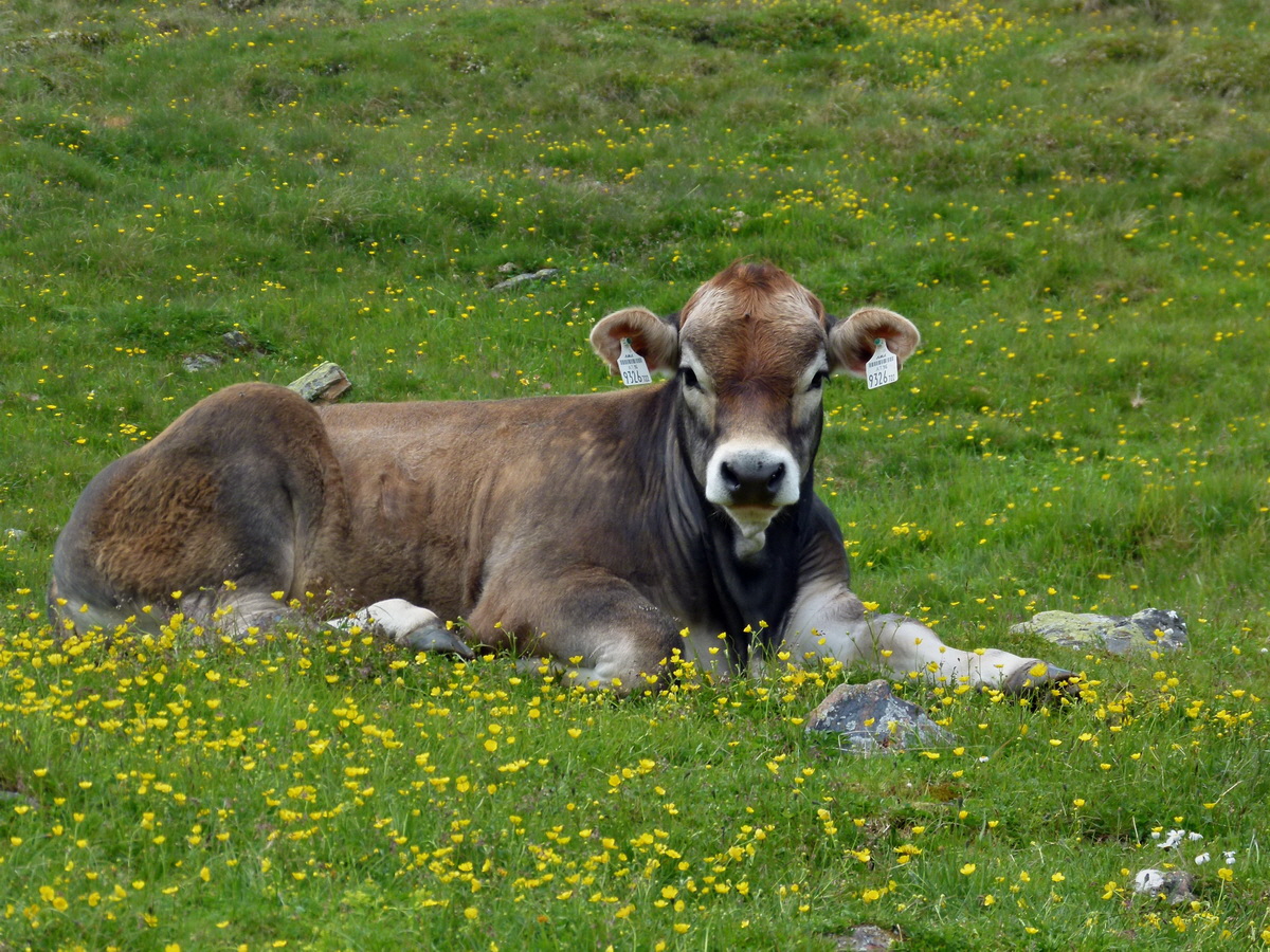 P1170938p_Bildgr��e �ndern