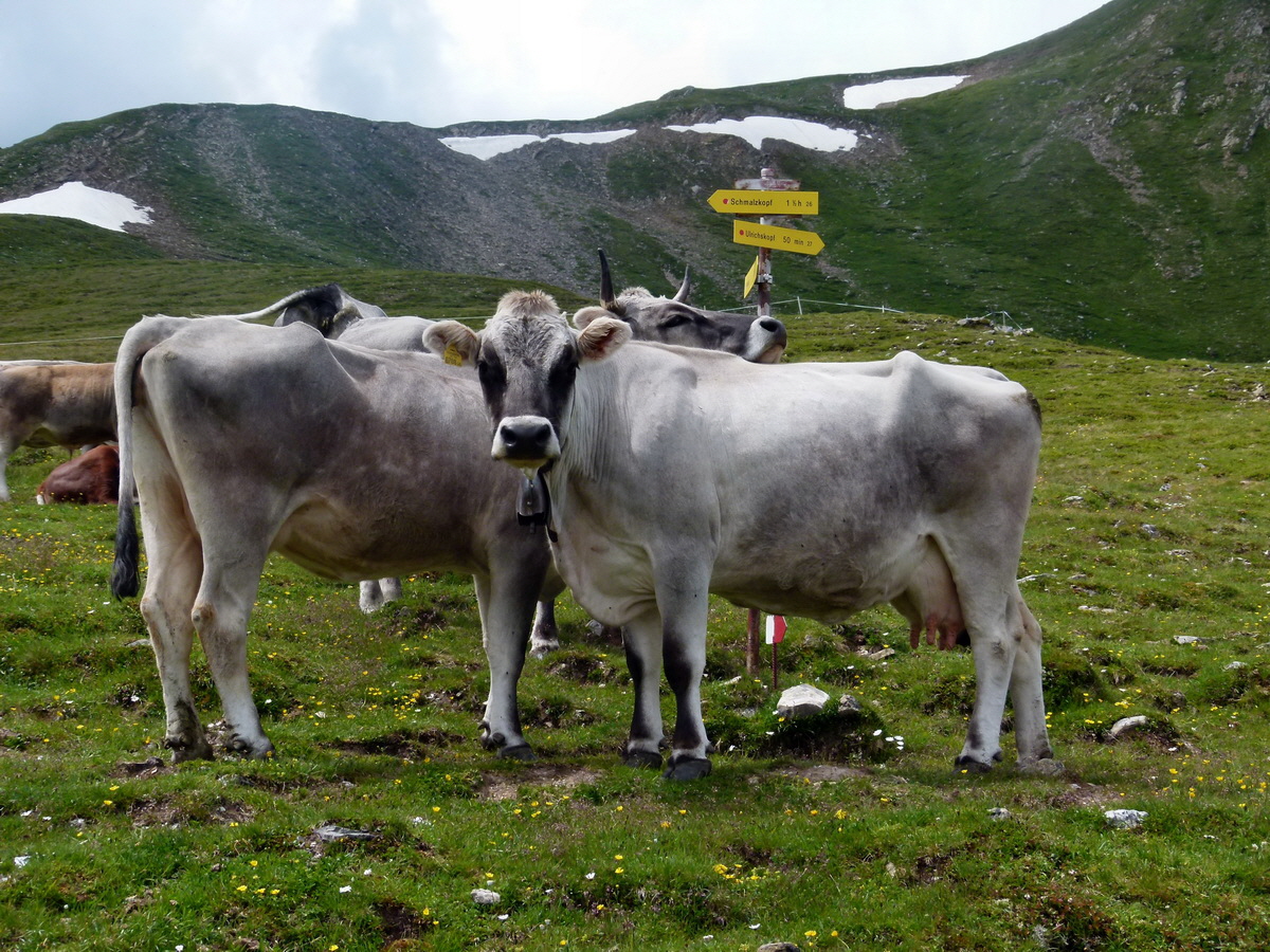 P1170940p_Bildgr��e �ndern