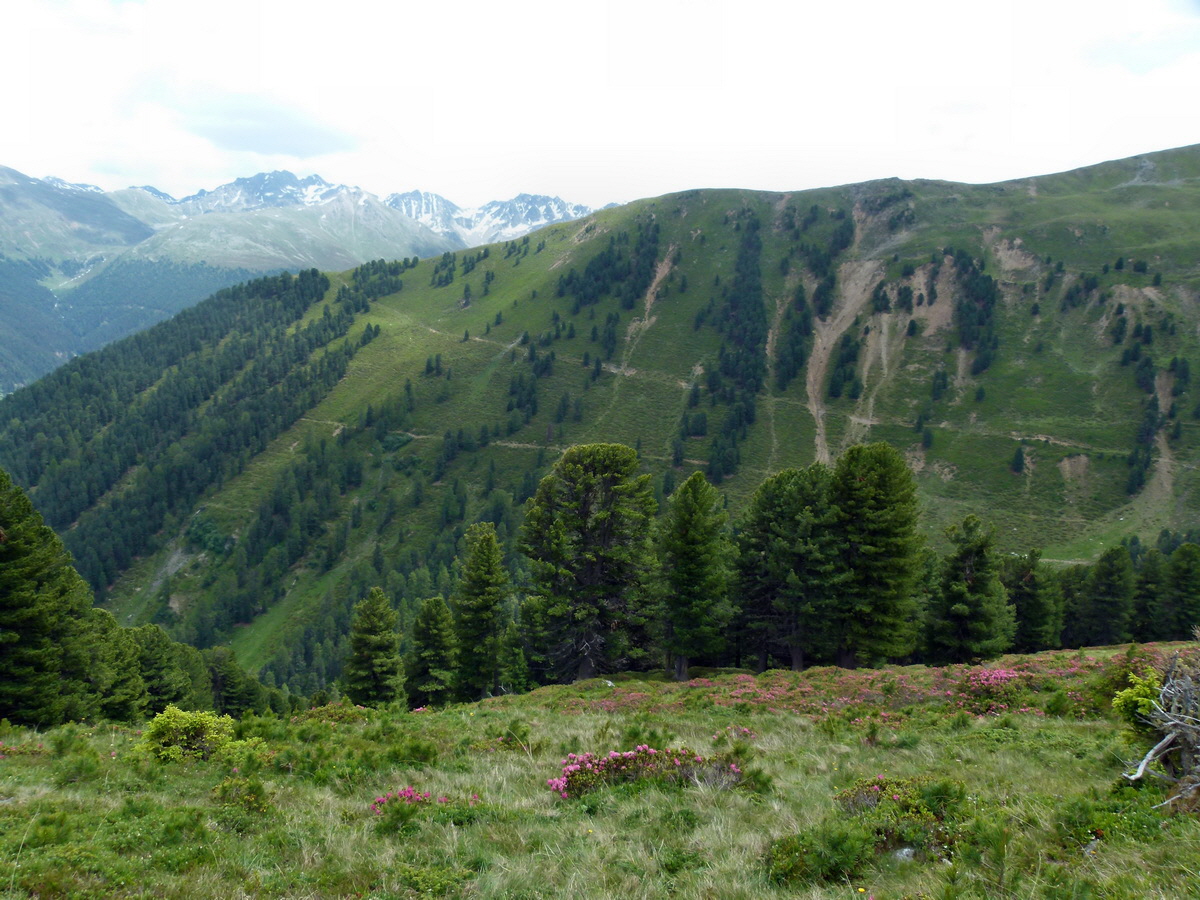 P1170948p_Bildgr��e �ndern