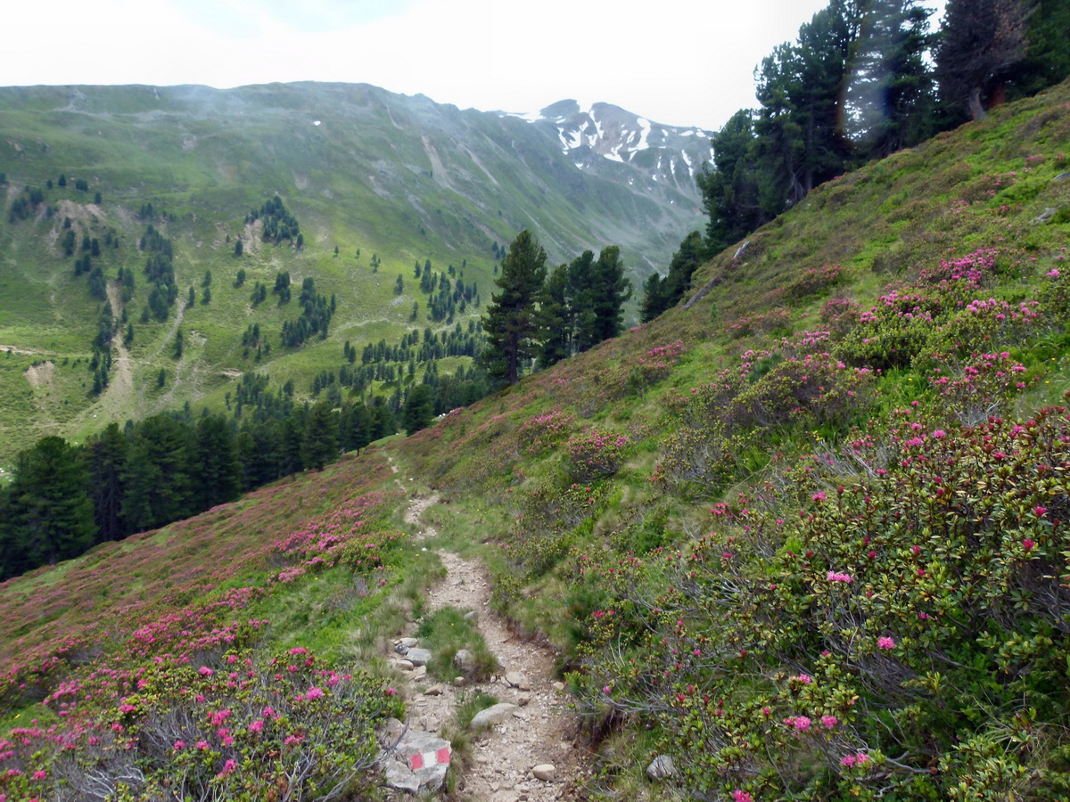 P1170952p_Bildgr��e �ndern