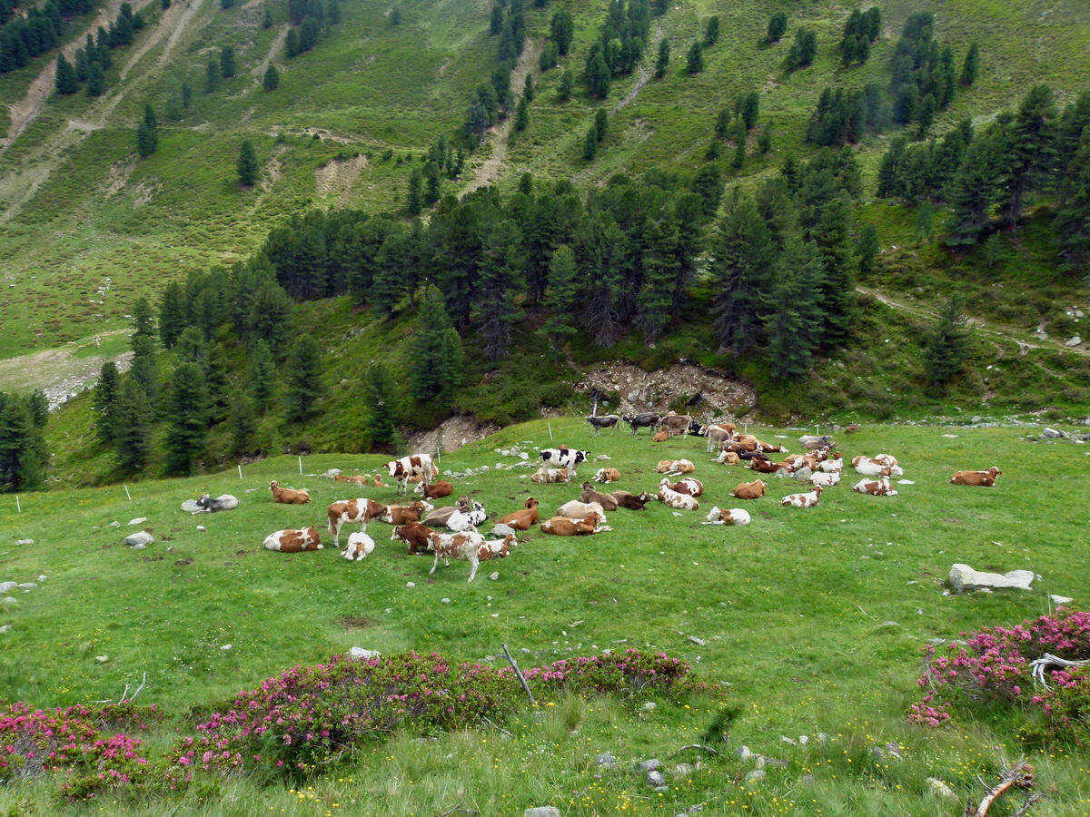 P1170958p_Bildgr��e �ndern