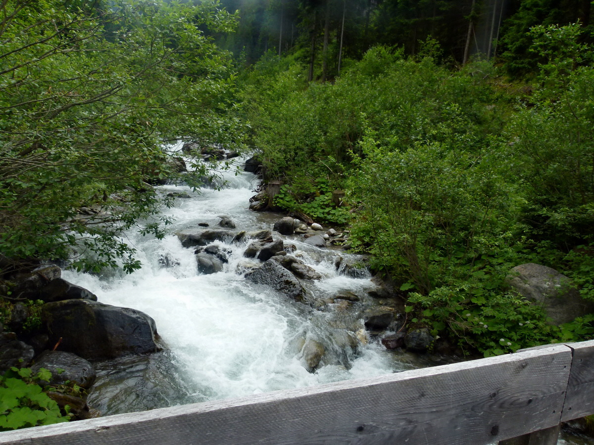 P1170969p_Bildgr��e �ndern