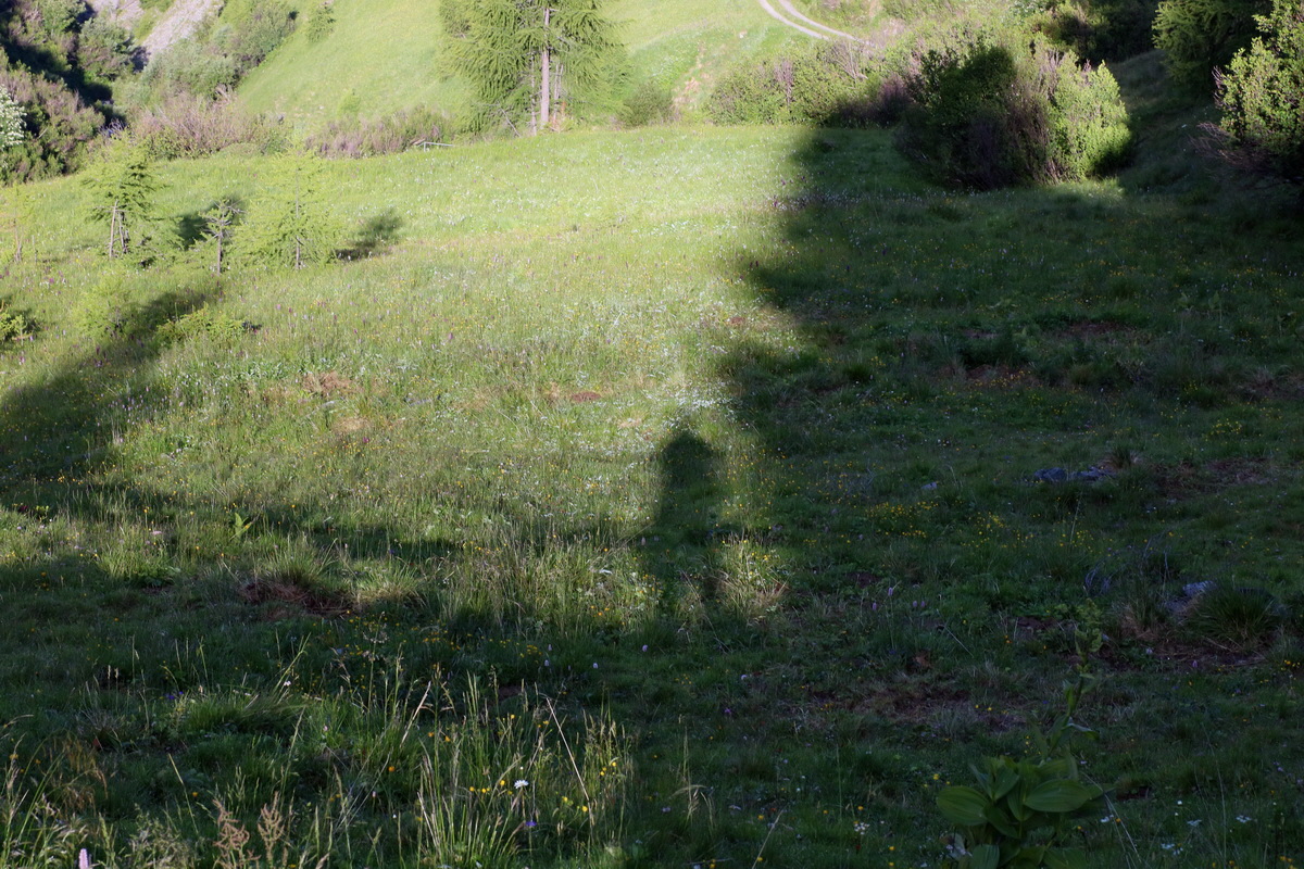 2016_07_05_022225p_Bildgr��e �ndern