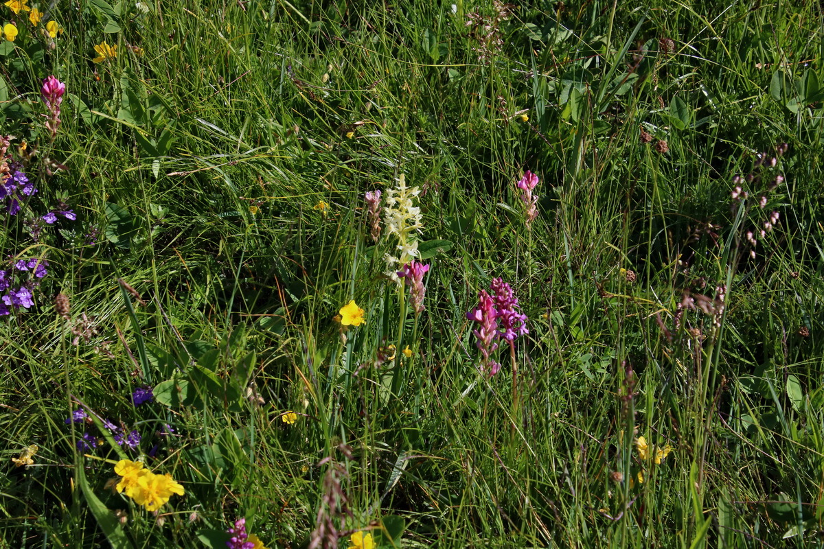 2016_07_05_022309p_Bildgr��e �ndern