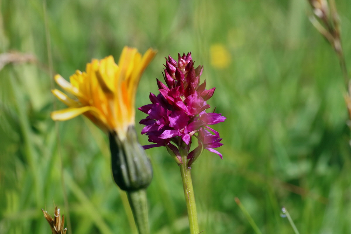 2016_07_05_022354p_Bildgr��e �ndern