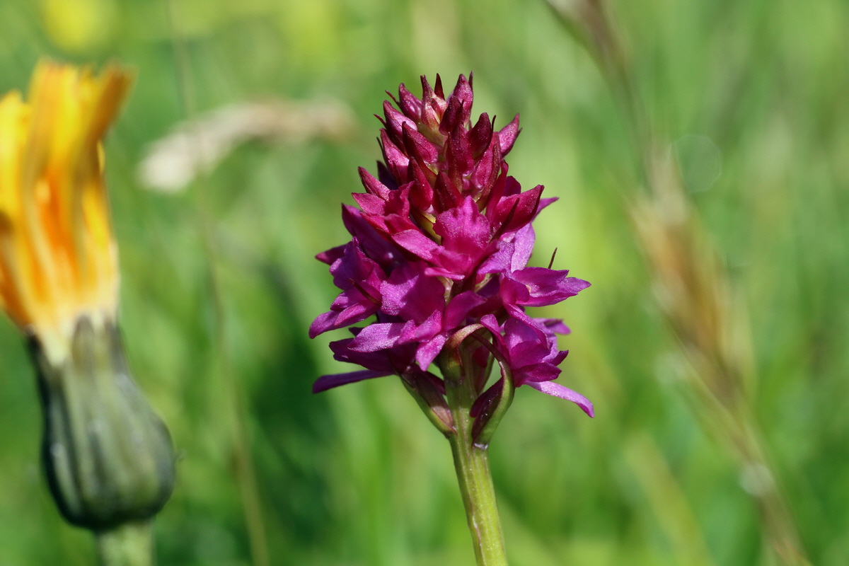 2016_07_05_022360p_Bildgr��e �ndern