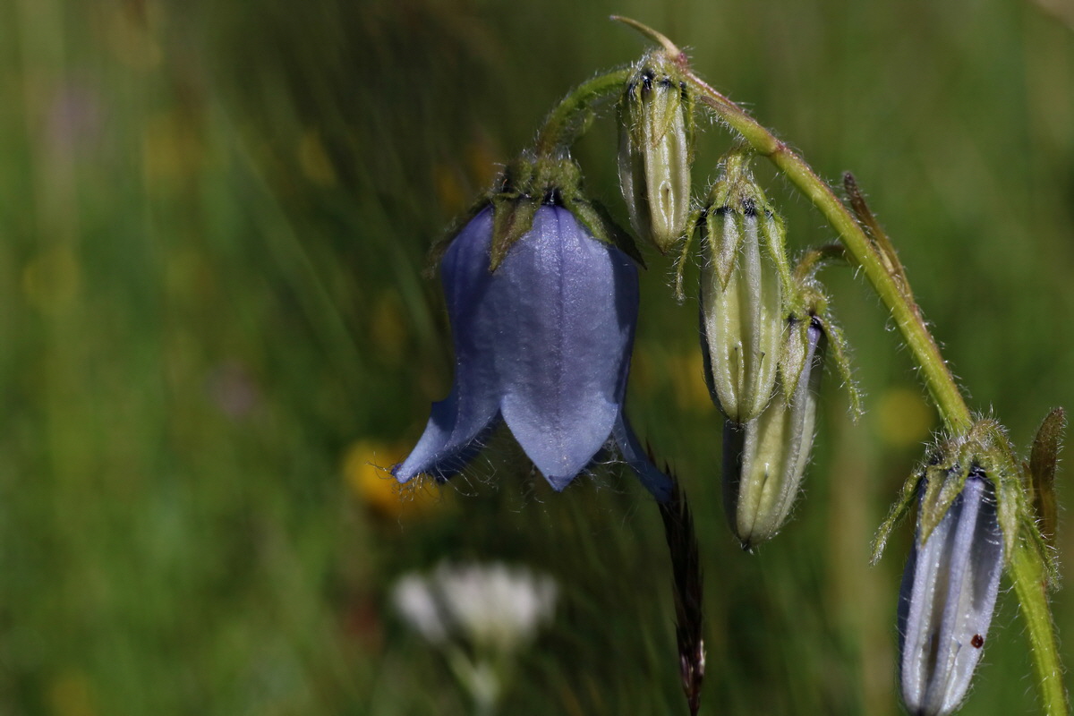 2016_07_05_022362p_Bildgr��e �ndern