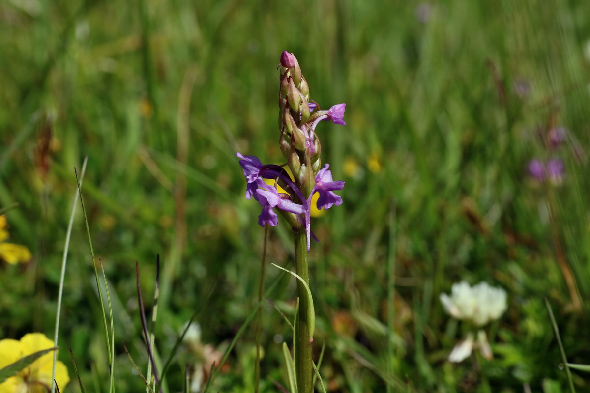 2016_07_05_022364p_Bildgr��e �ndern