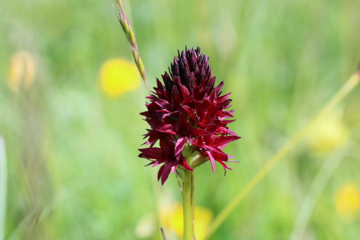 2016_07_05_022367p_Bildgr��e �ndern