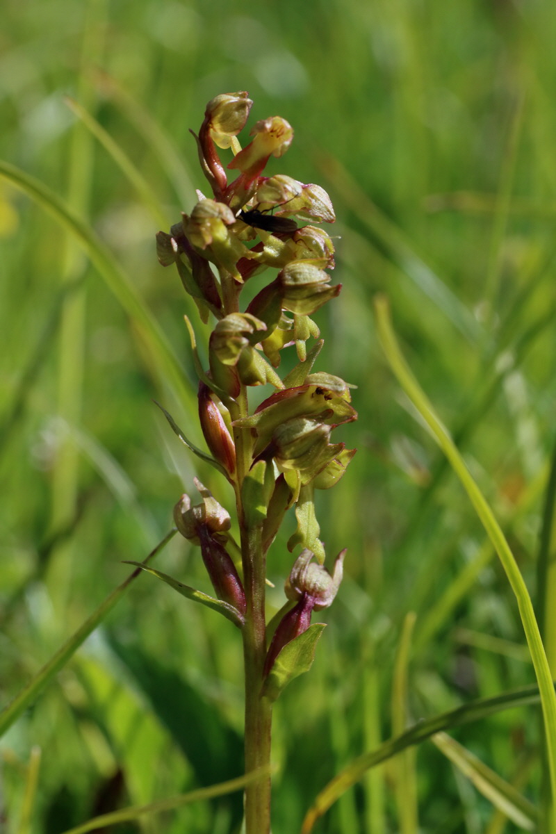 2016_07_05_022377p_Bildgr��e �ndern