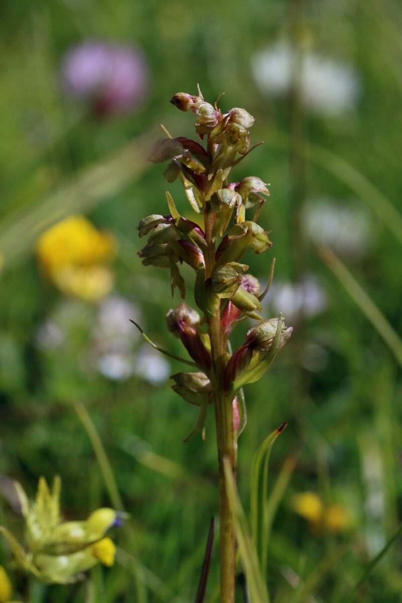 2016_07_05_022380p_Bildgr��e �ndern