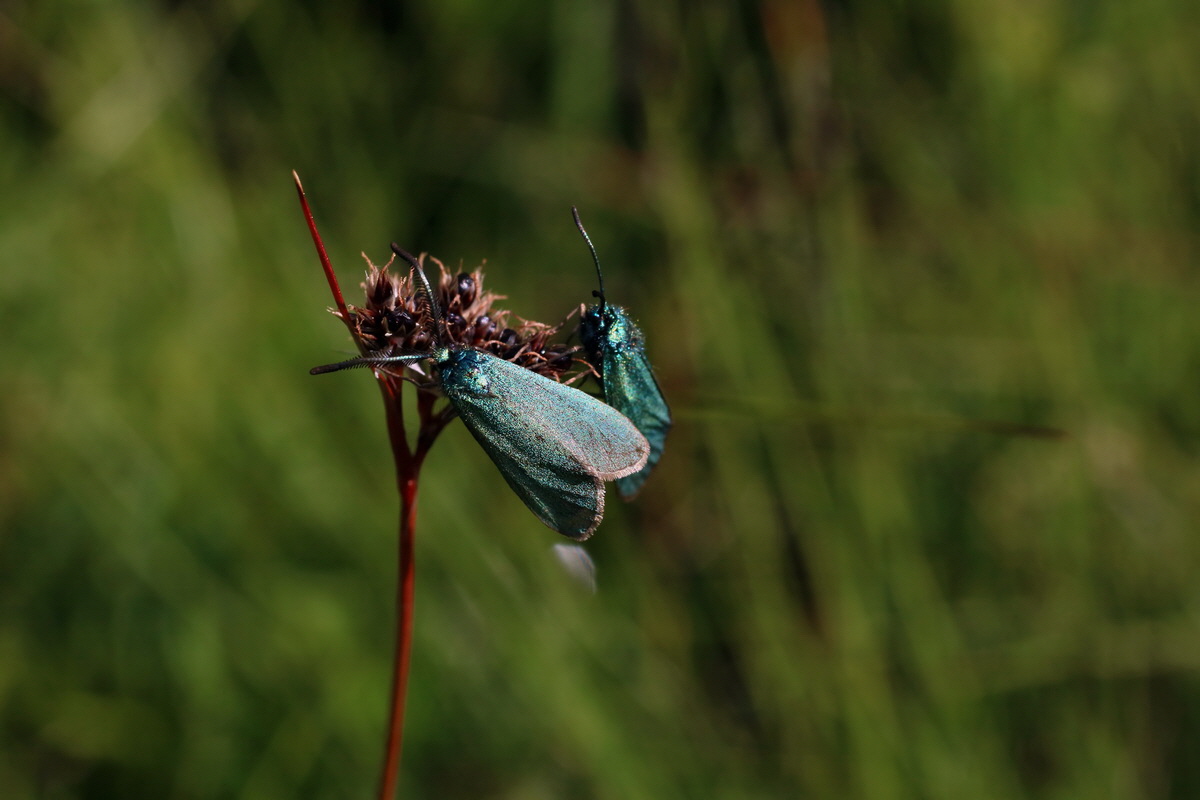 2016_07_05_022386p_Bildgr��e �ndern