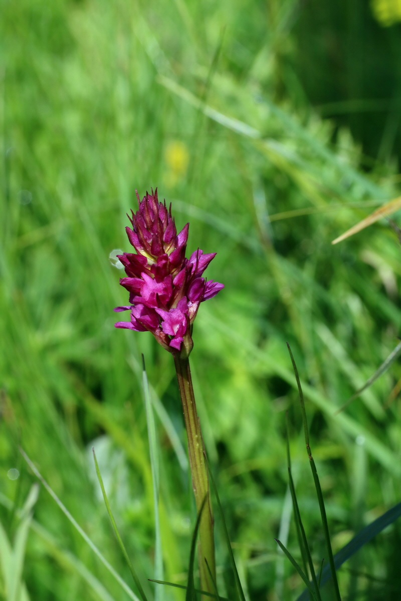 2016_07_05_022400p_Bildgr��e �ndern