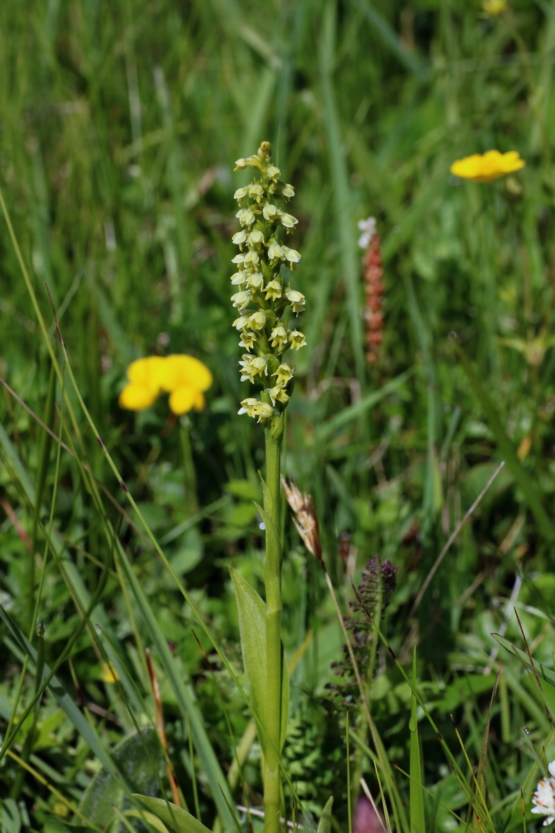 2016_07_05_022402p_Bildgr��e �ndern