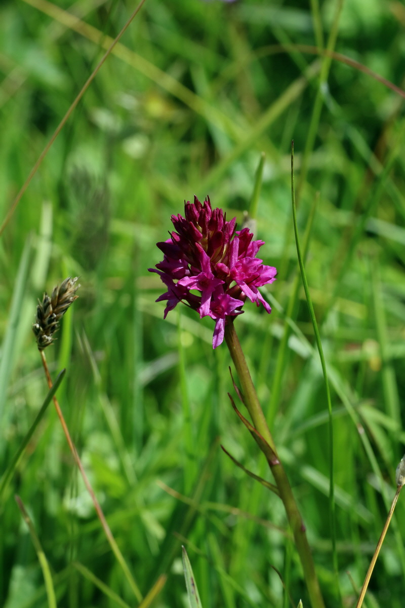 2016_07_05_022419p_Bildgr��e �ndern