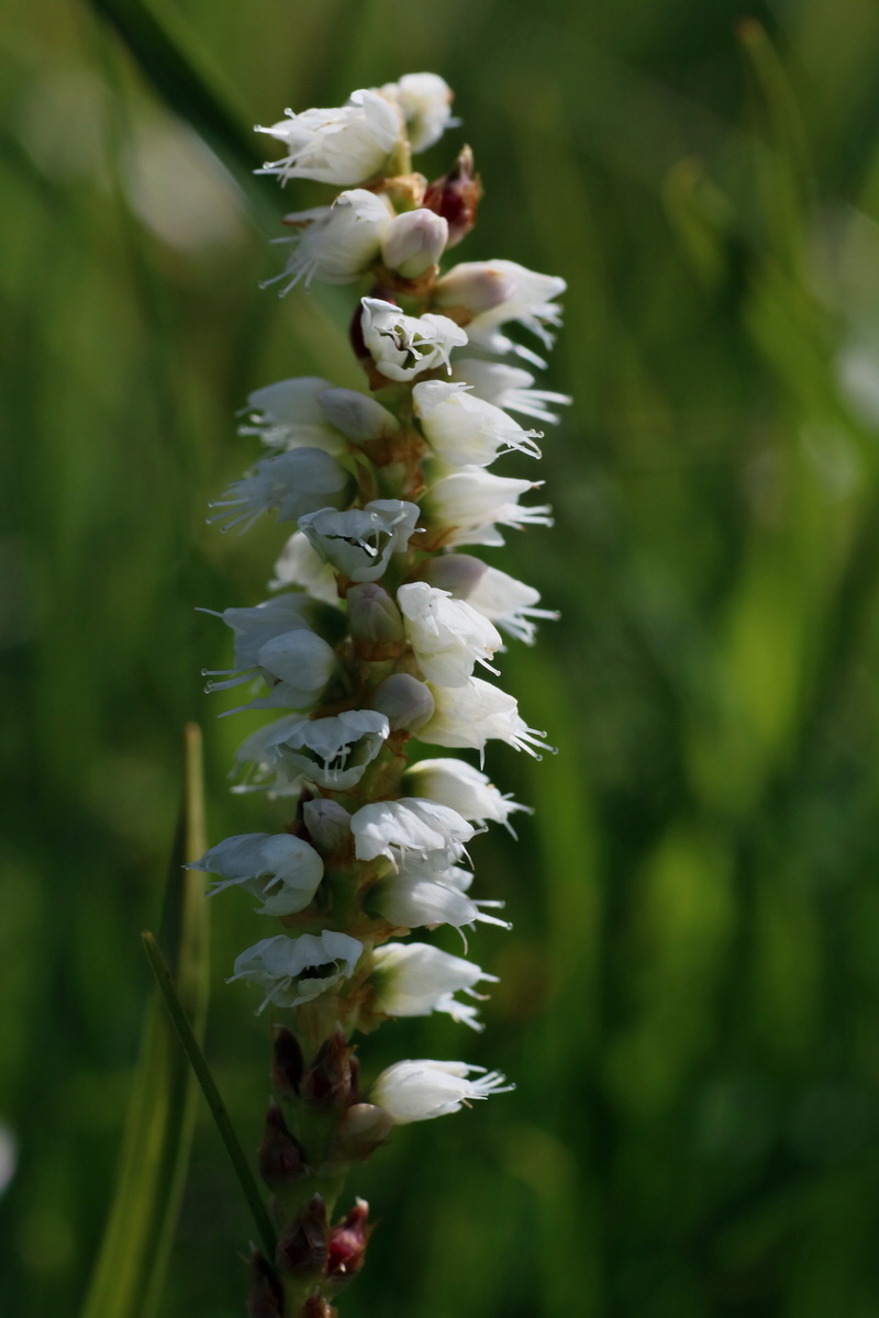 2016_07_05_022687p_Bildgr��e �ndern