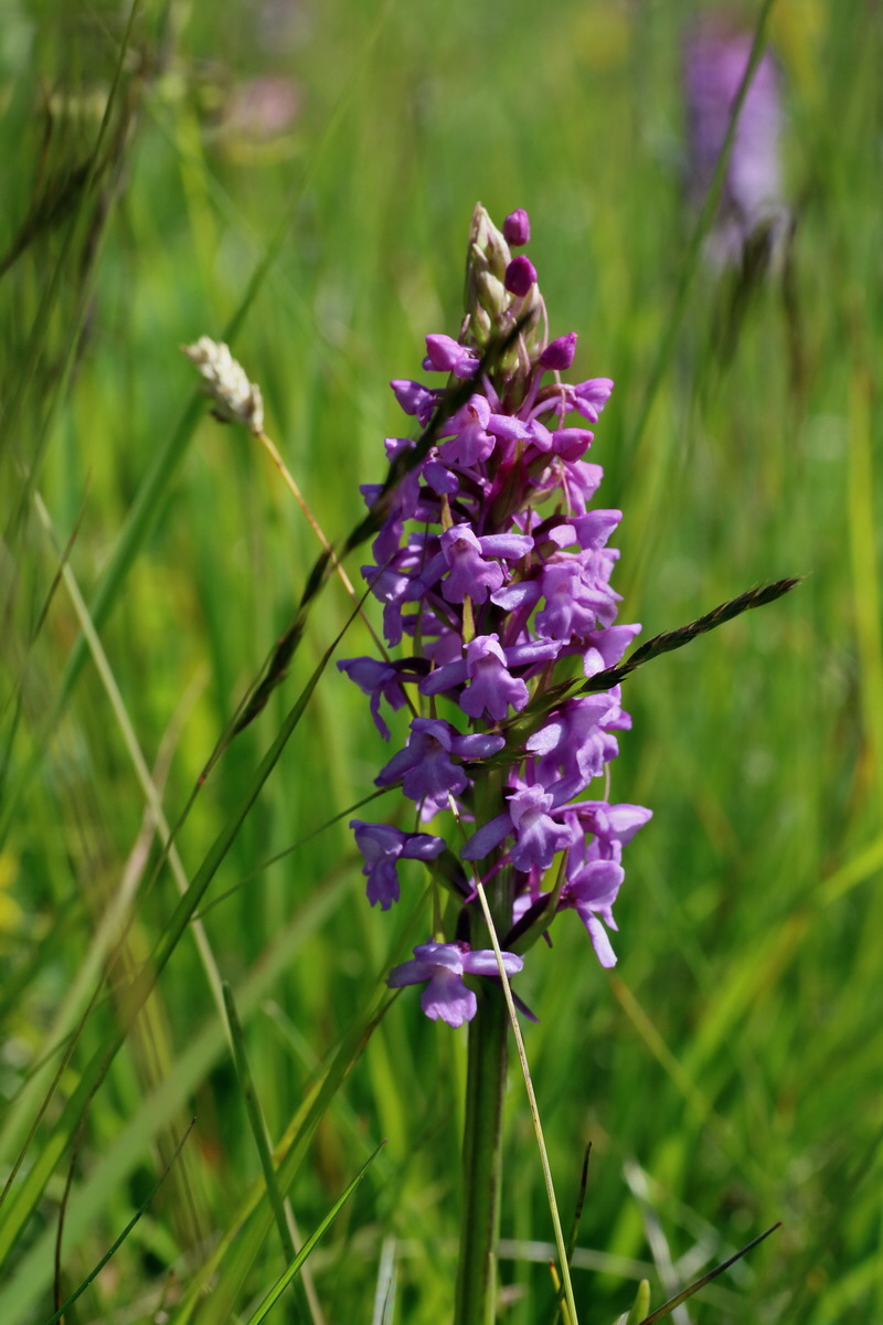 2016_07_05_022690p_Bildgr��e �ndern