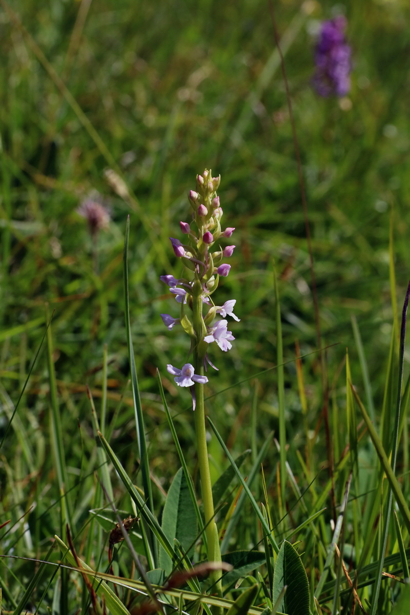 2016_07_05_022693p_Bildgr��e �ndern