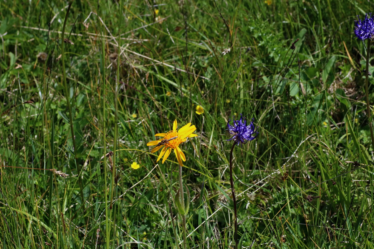 2016_07_05_022699p_Bildgr��e �ndern