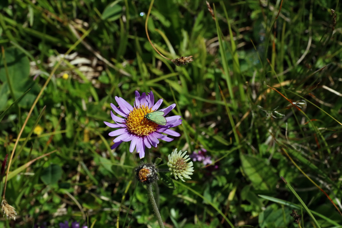 2016_07_05_022701p_Bildgr��e �ndern