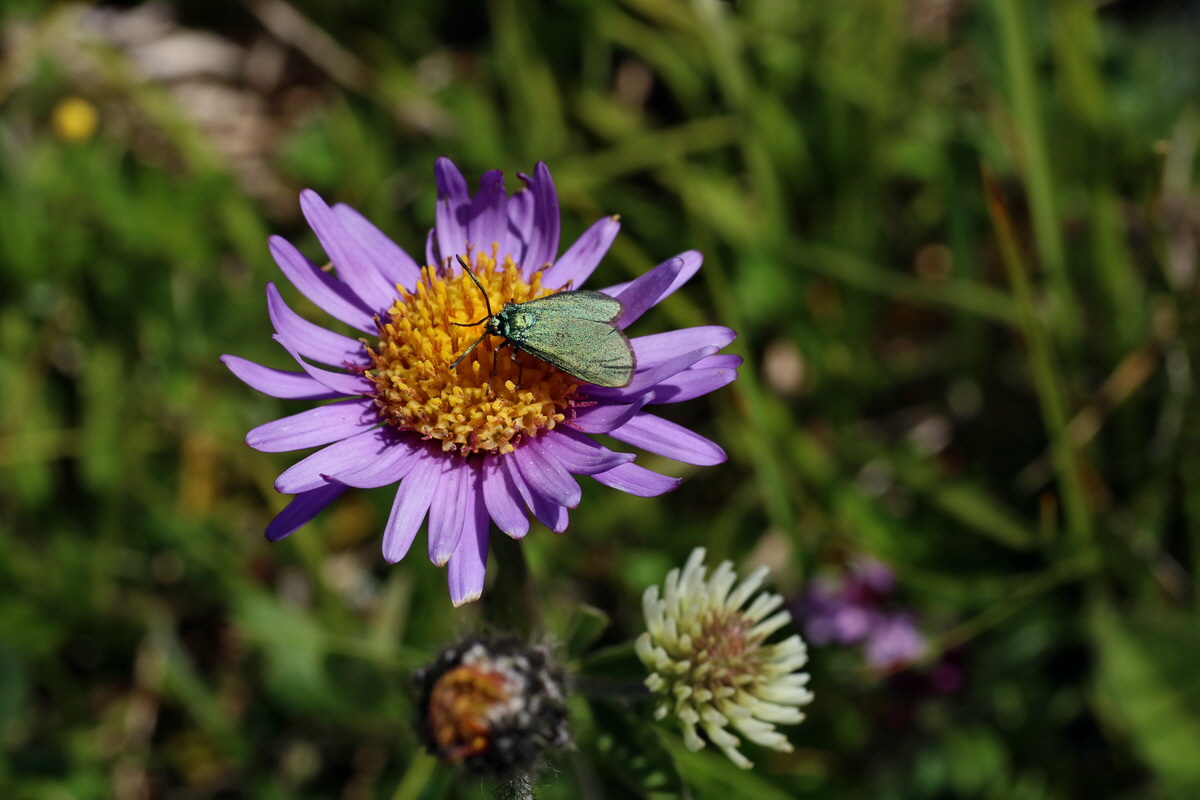 2016_07_05_022704p_Bildgr��e �ndern