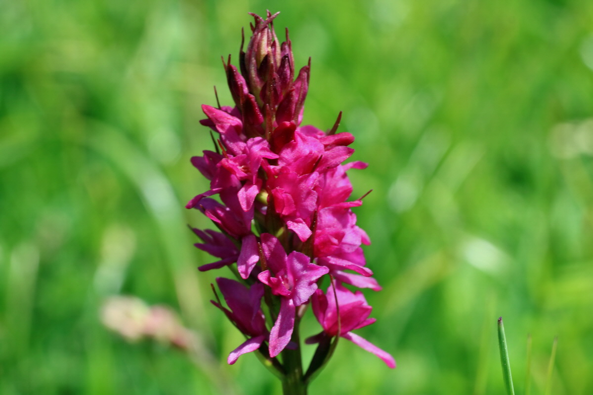 2016_07_05_022718p_Bildgr��e �ndern