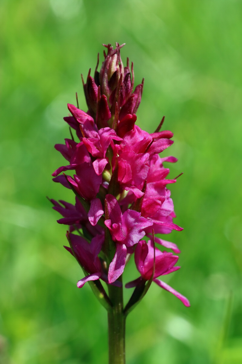 2016_07_05_022723p_Bildgr��e �ndern