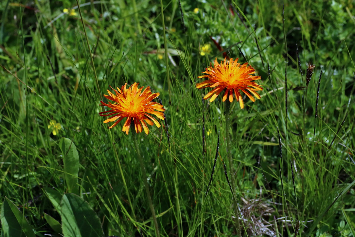 2016_07_05_022728p_Bildgr��e �ndern