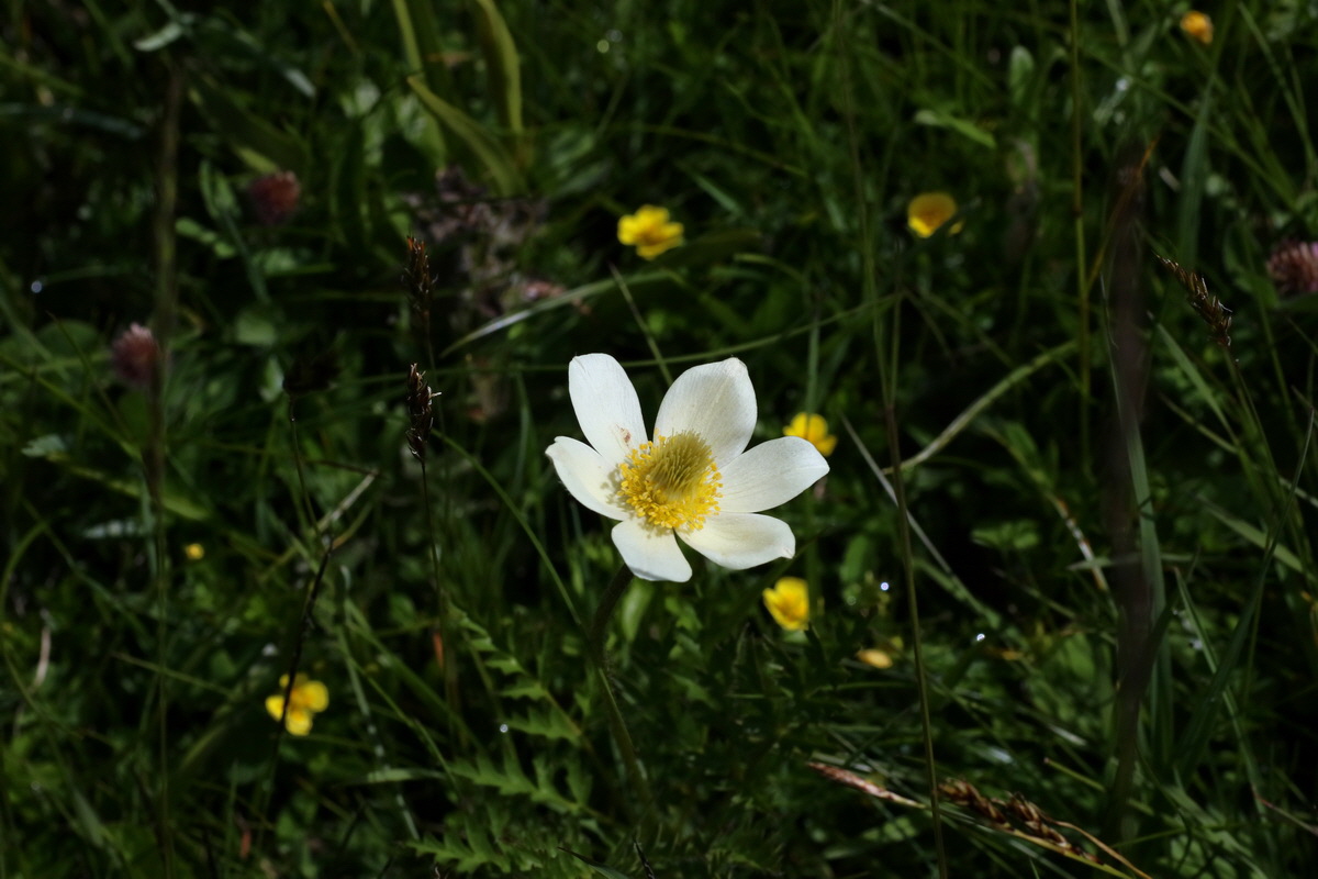 2016_07_05_022733p_Bildgr��e �ndern