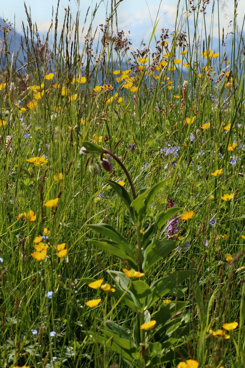 2016_07_05_022736p_Bildgr��e �ndern