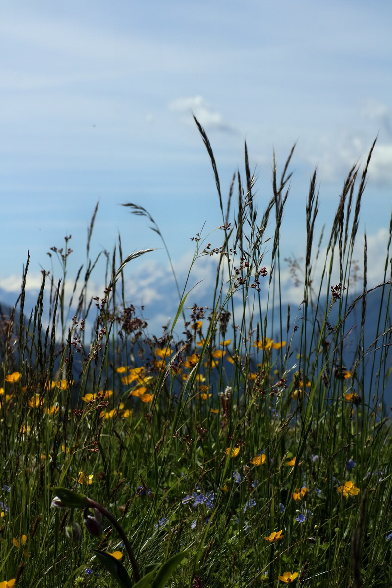 2016_07_05_022738p_Bildgr��e �ndern