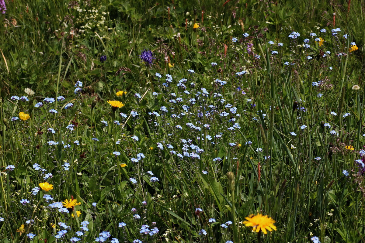 2016_07_05_022741p_Bildgr��e �ndern