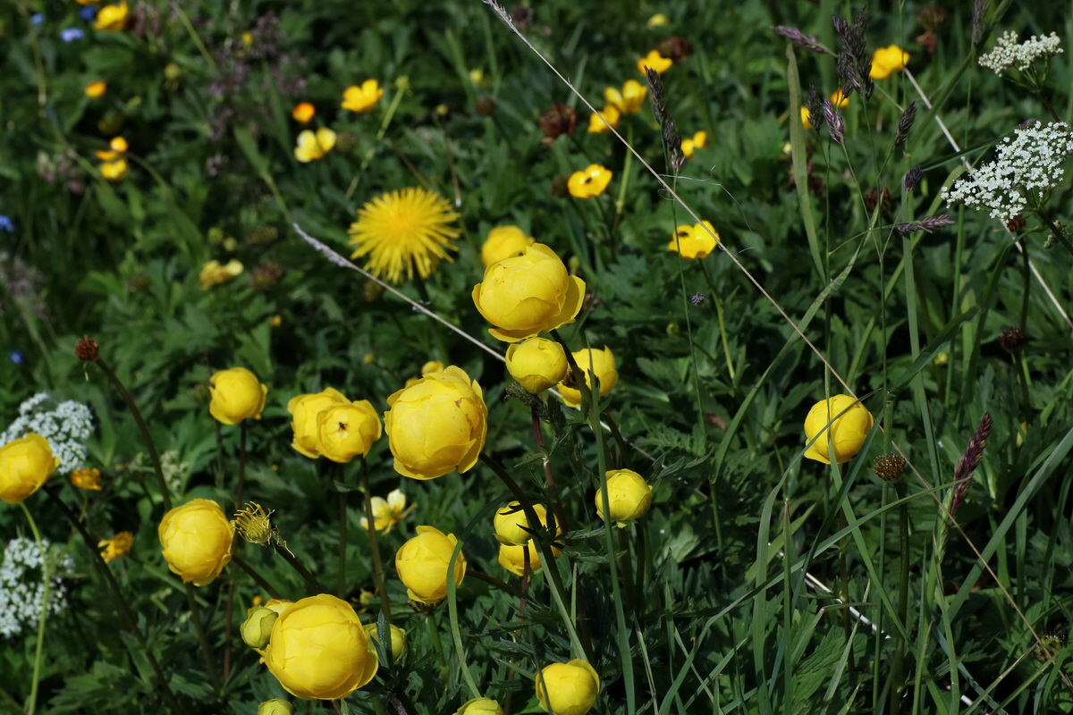 2016_07_05_022748p_Bildgr��e �ndern