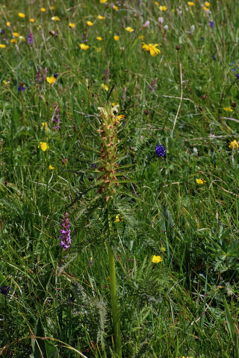 2016_07_05_022764p_Bildgr��e �ndern